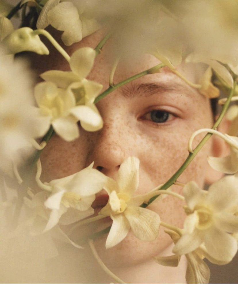 top-download-template