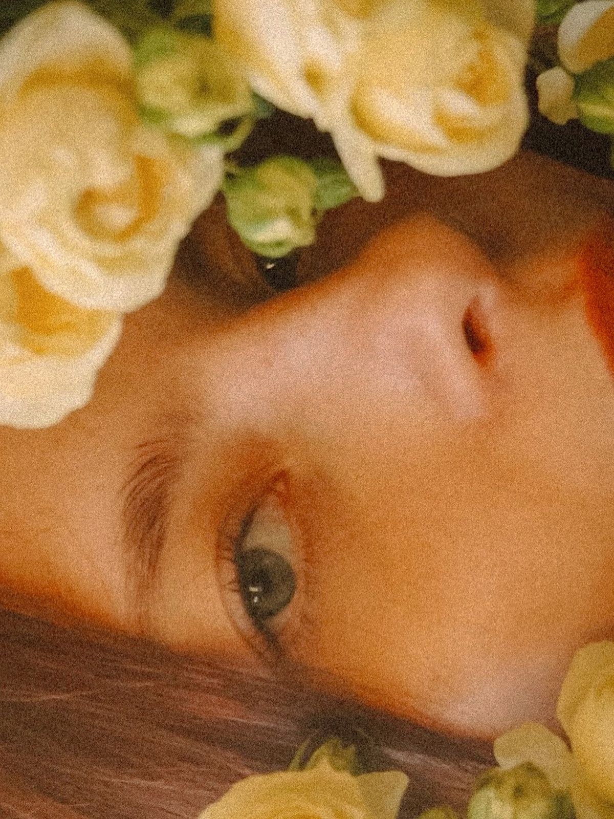 top-download-template